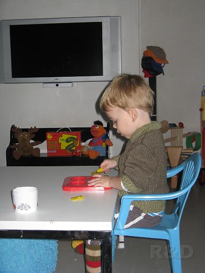 Imme 30 augustus 2008 (1).JPG